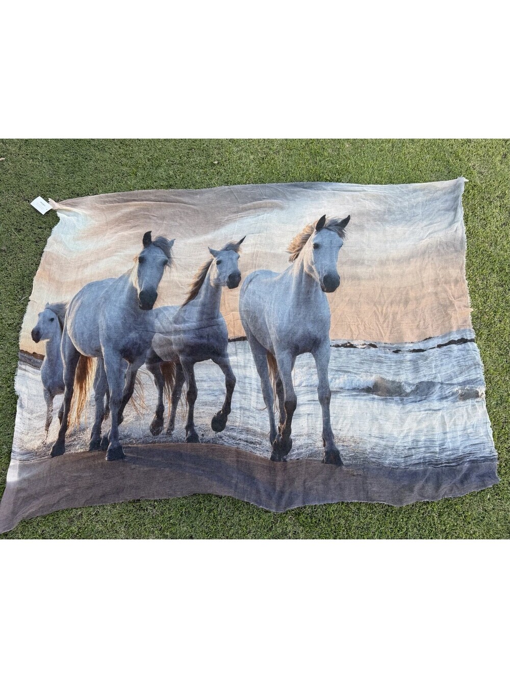 NWT 813 Ottotredici Italian Horse Print Coastal Scarf Large (Modal/Cashmere)